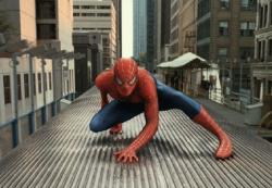 Another sequel, Spider-man 2, became the second biggest hit of the summer.