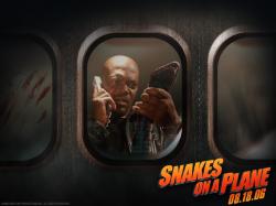 The much hyped Snakes on  a Plane slithered into first place during its opening weekend.