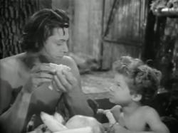 Johnny Weissmuller and Johnny Sheffield as Tarzan and Boy.