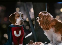 Jason Lee provides the voice of the super dog in Underdog.